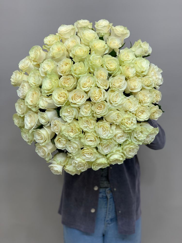Букет 75 белых роз Эквадор 60см в ленте