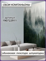 Фотообои хвойный лес в тумане