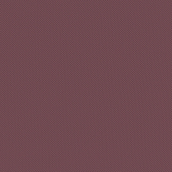 Велюр Blitz / Блитц