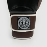 боксерские перчатки HT HardLea Black/Brown