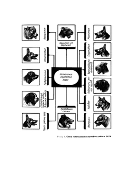 Дрессировка служебных собак | В.Н. Зубко; М.М. Уроженко; В.А. Полунеев