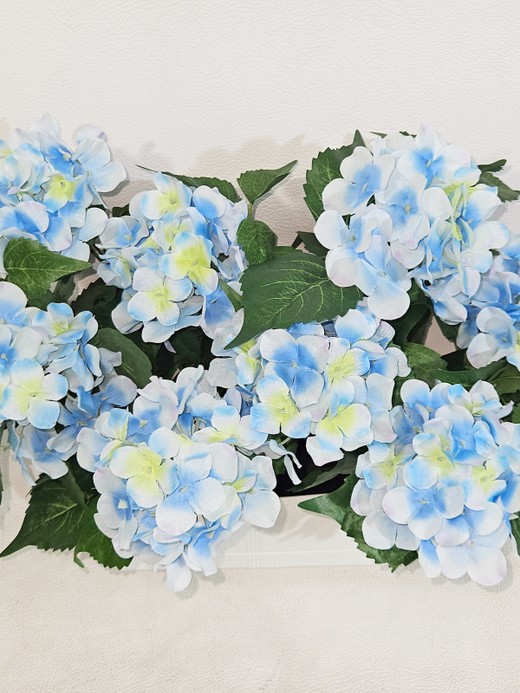 Гортензия голубая 35см в балконном ящике