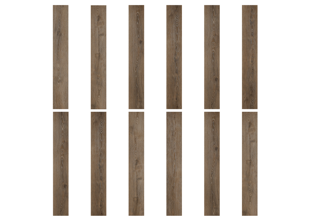 TW 03011 QUERCUS