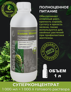 Полноценное питание
