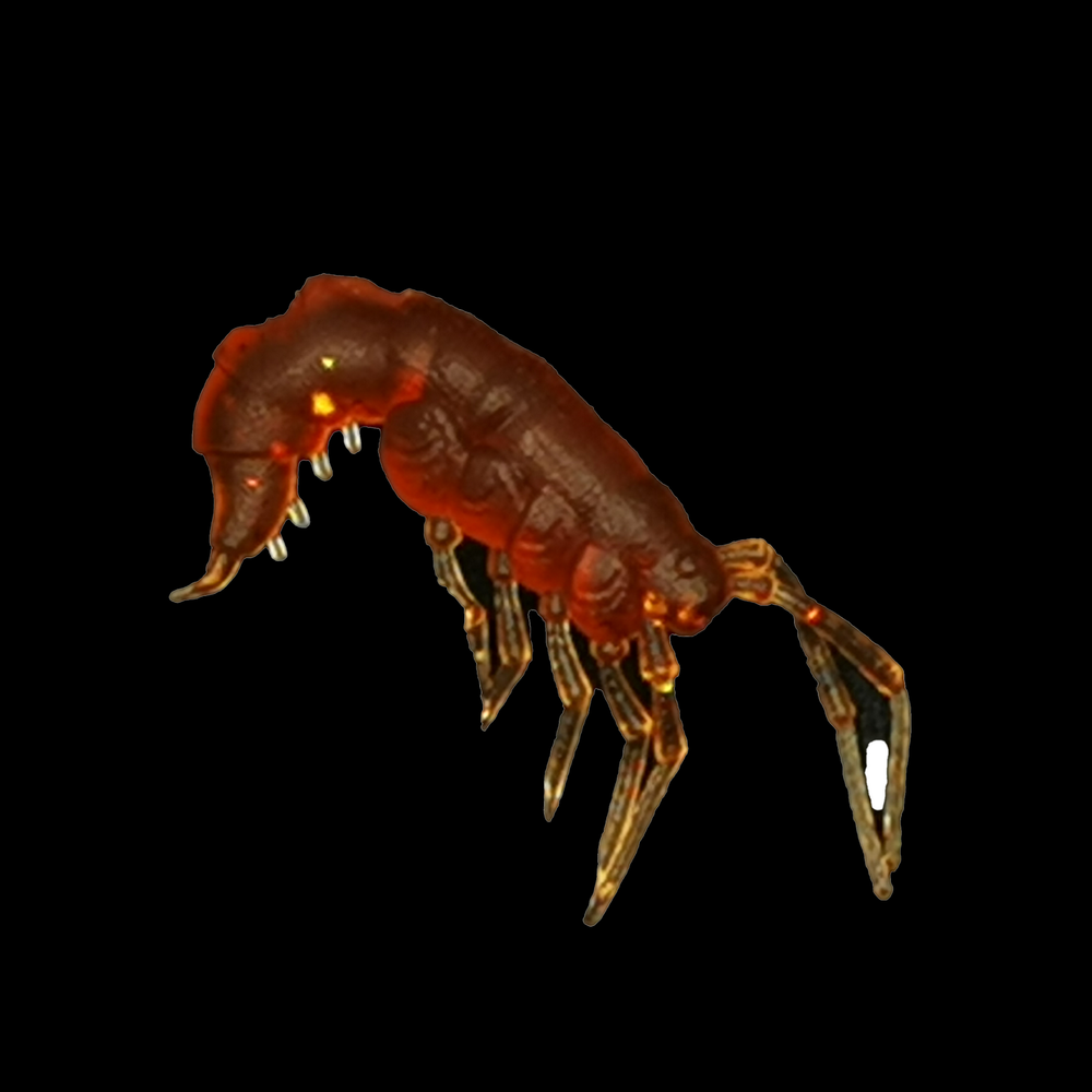 Рыболовные, силиконовые приманки. Рачки мормыш RuBaits Shrimp креветка. Набор для рыбалки на щуку, судака, окуня, форель. Зимняя рыбалка, микроджиг.