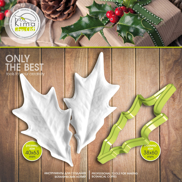 Падуб (остролист)