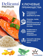 Cухой полнорационный корм для взрослых собак средних пород лосось с рисом Delicana 15кг