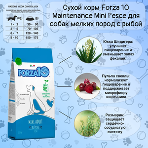 Сухой корм Forza 10 Maintenance Mini Pesce для собак мелких пород с рыбой