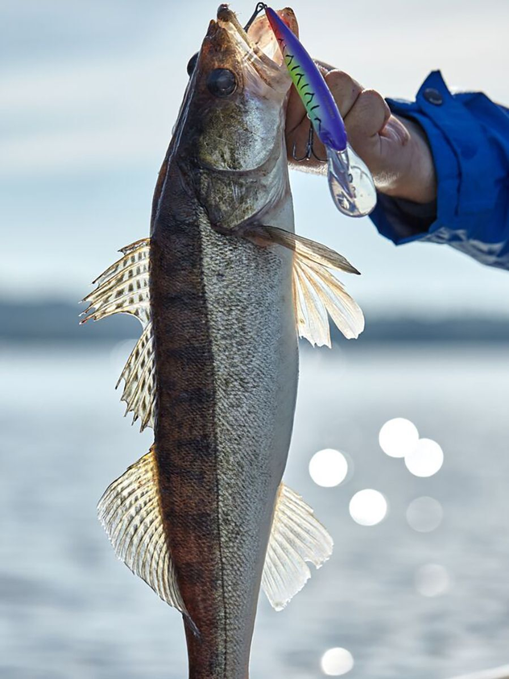 Воблер плавающий Lucky John Original DEMON DIVER F 12/015