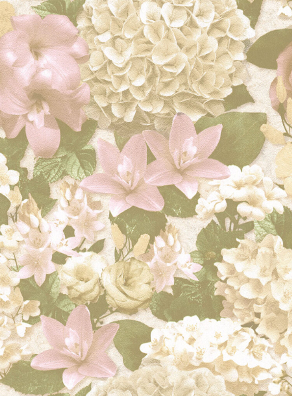 Сальвия - 21 светло-серая