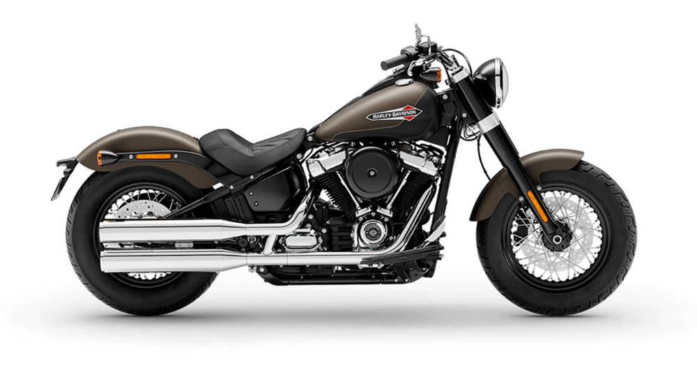 Softail Slim 2021 Harley-Davidson River Rock Gray Denim / Black Denim