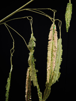 Веточка папортника 13х56см ChristmasDeLuxe зеленая