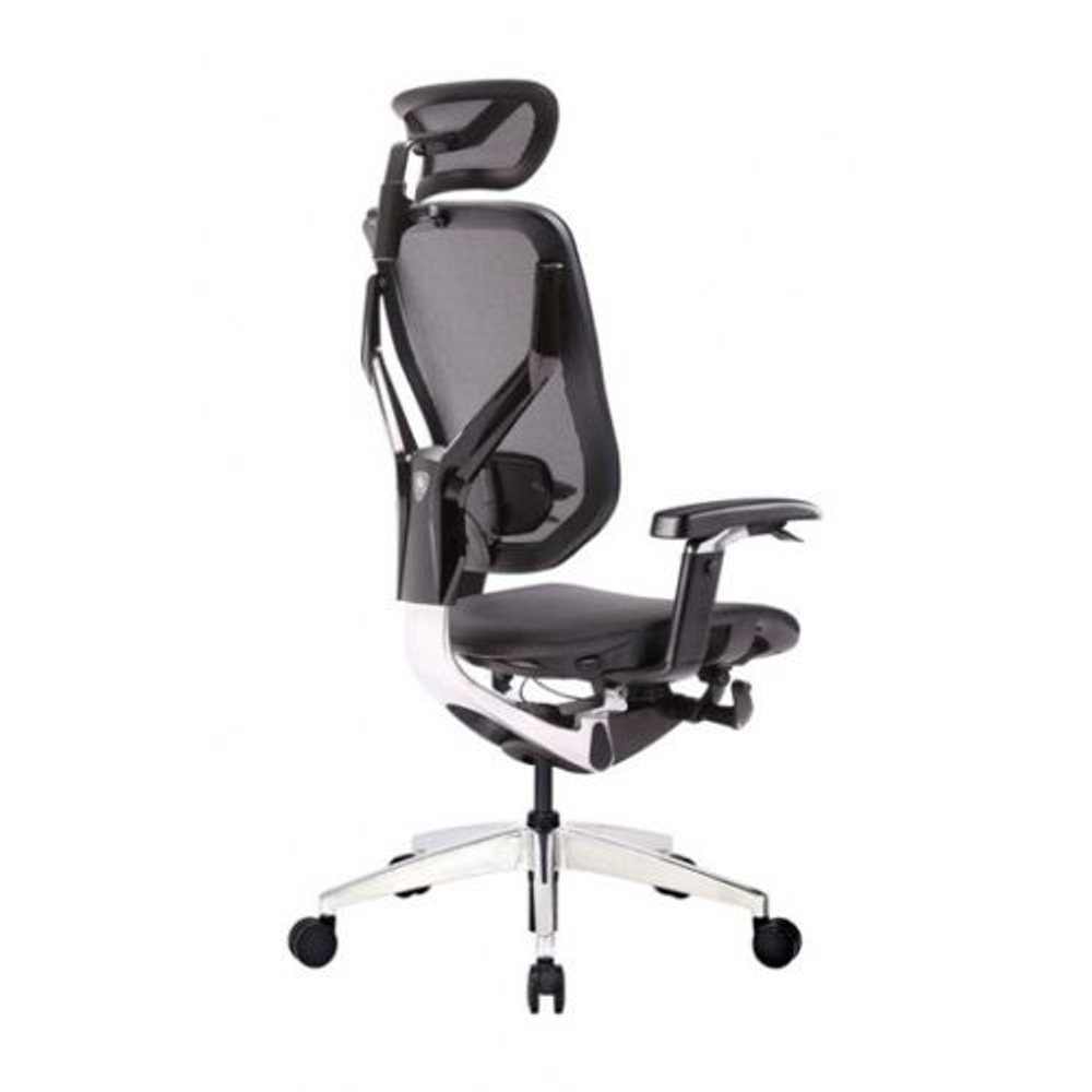 Премиум эргономичное кресло GT Chair VIDA X