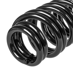 Пружины GANZ задние CHERY T18 / T1A / T1D 6 / 7-мест (комплект 2 шт.) Арт.: GIK02604