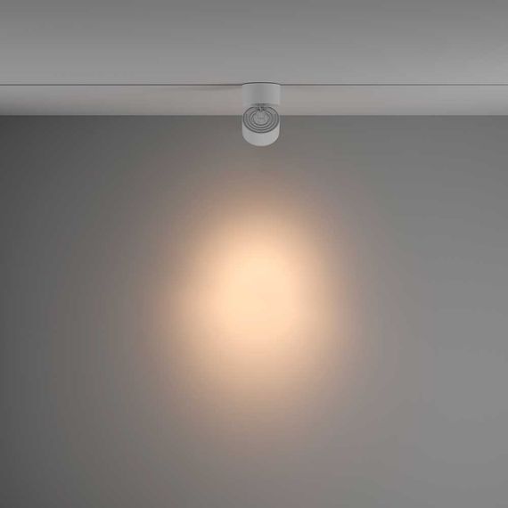 Трековый светильник Maytoni Technical Yin TR084-1-15W3K-D-W