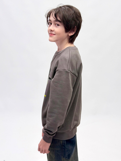 Свитшот трикотажный для мальчика 9-18 лет Fleur de Vie