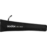 Комплект студийного света Godox AD300Pro KIT