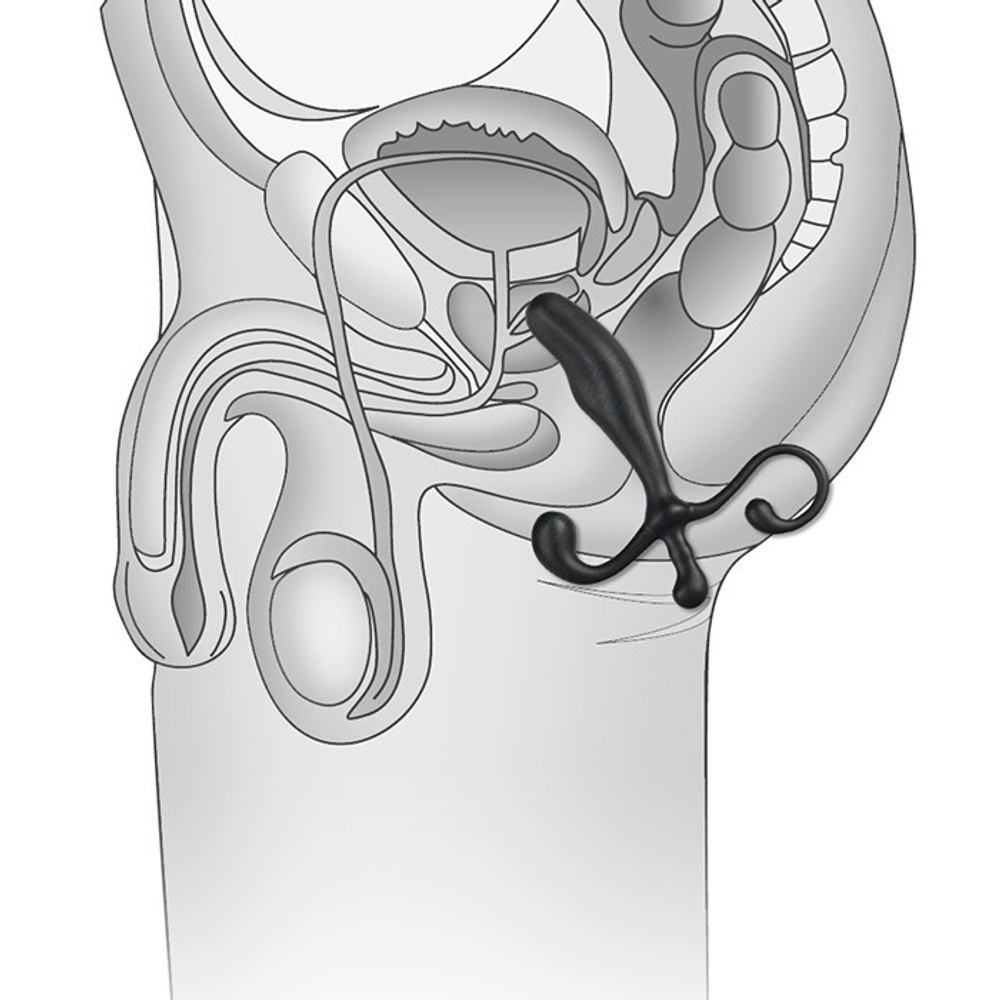Массажер простаты - 12.7 см. (Цвет: черный)