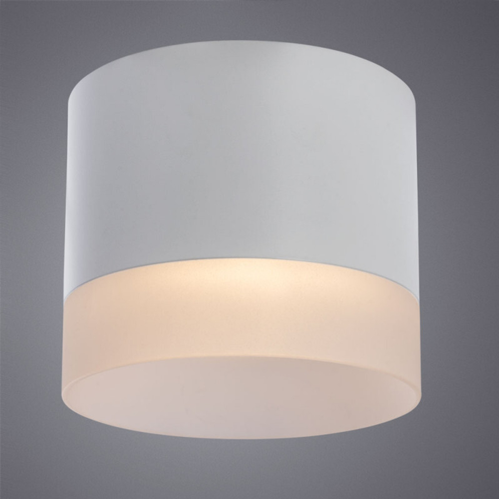 Накладной светильник Arte Lamp A5554PL-1WH