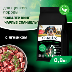 Корм сухой для щенков породы Кавалер кинг чарльз спаниель, премиум полнорационный комплекс, с ягненком, 800 гр, QUATTRO
