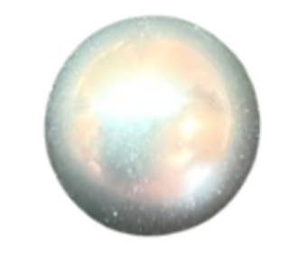 Жемчуг морской черный круглый 8.5-9.0мм