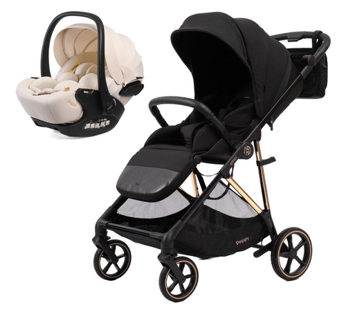Прогулочная коляска Peppy Amici с автокреслом Verona Beige Black рама Gold
