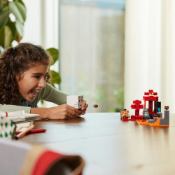 LEGO Minecraft — Засада в портале Пустоты 21255 / артикул   21255  / GTIN 5702017583310