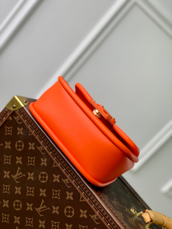 Louis Vuitton Hide & Seek Bag