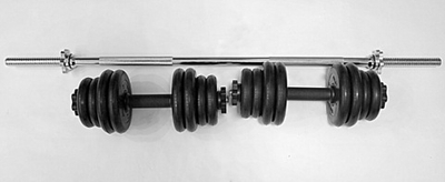 Комплект 2 гантели и гриф прямой общий вес 40 кг арт3