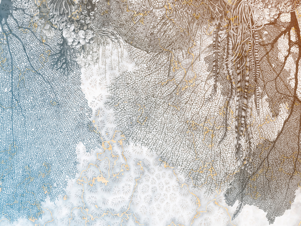 Коллекция WAVES