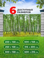 Фотосетка на забор пейзаж Березовая роща 3,16х2 м