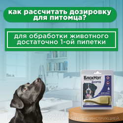 Капли для собак от 30 до 40 кг от блох, клещей, вшей, власоедов, а так же для лечения ушной чесотки и предотвращения нападения комаров БлохНэт Форте (Астрафарм), 1пипетка