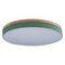 Потолочный светодиодный светильник Loft IT Axel 10001/36 green