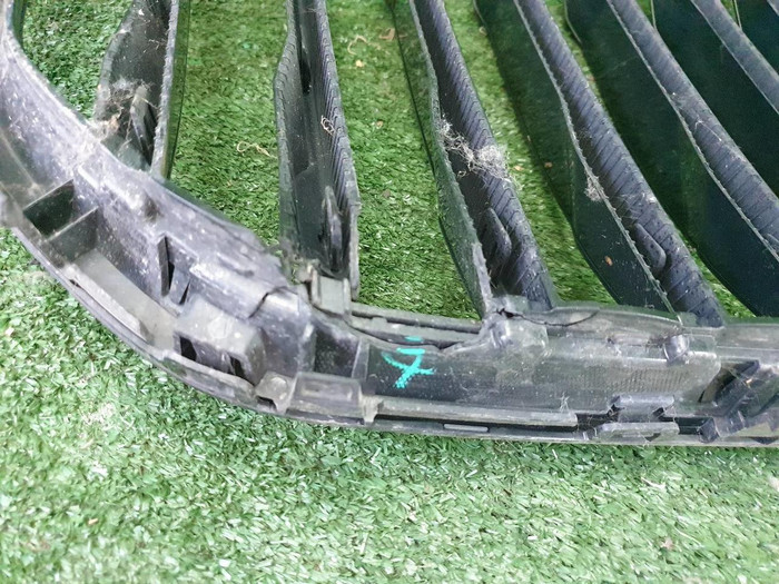 Решетка радиатора BMW X5 G05 (2018-2023)