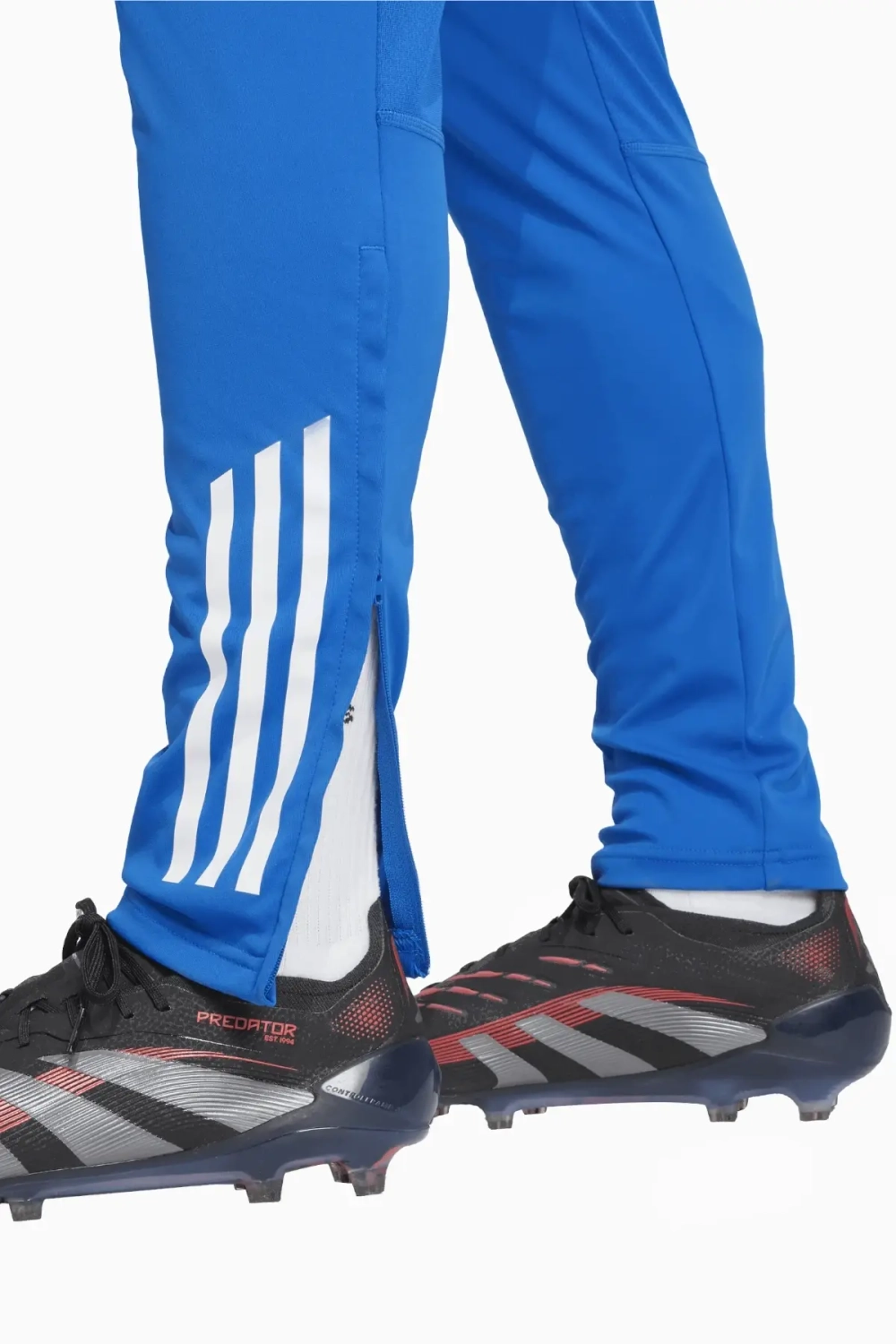 Штаны adidas Real Madrid 25/26 Competition Training - синий