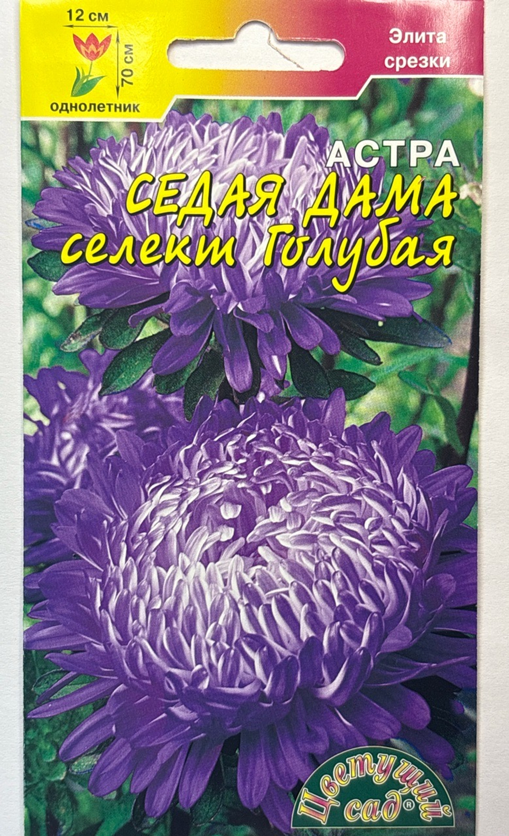 Астра Седая Дама голубая 0,1 г СМЦ-548