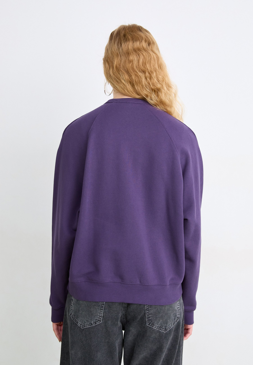 Carhartt WIP RAY - Толстовка - Фиолетовый