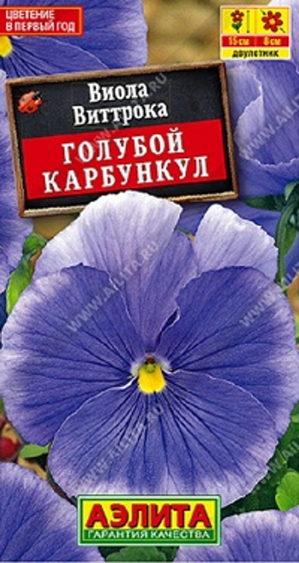 Виола Голубой карбункул
