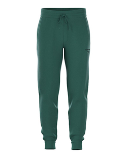 Мужские теннисные штаны Björn Borg Essential 1 - posy green