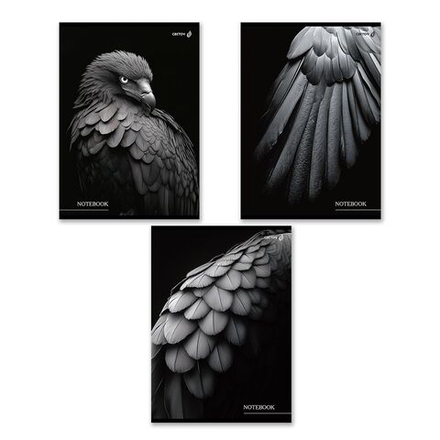 Тетрадь А4  80л кл. скоба Светоч "Чёрные крылья" БЕЗ ПОЛЕЙ