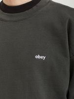 Мужская Толстовка Lowercase Pigment