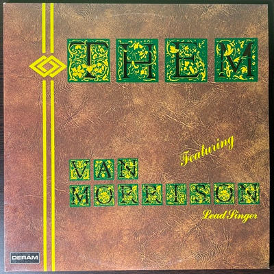 Them – Them Featuring Van Morrison Lead Singer 2LP (Англия)