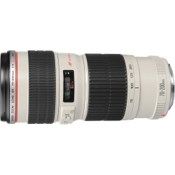 Объектив Canon EF 70-200mm f/4L USM, черный/белый