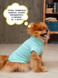 Футболка для собак мелких средних пород и кошек