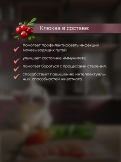 НАБОР Консервы DELISH Super Premium для кошек, индейка/овощи/клюква - 10 шт х 80 гр