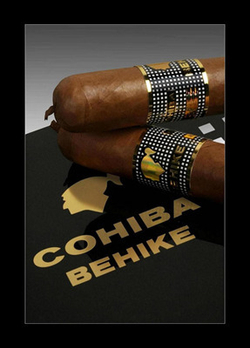 Cohiba Behike 54