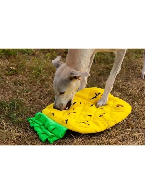 Нюхательный коврик для собак и лакомств