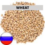 Солод Пшеничный (Wheat), 1 кг. Курский солод