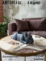 Кашпо - Органайзер Бульдог декор