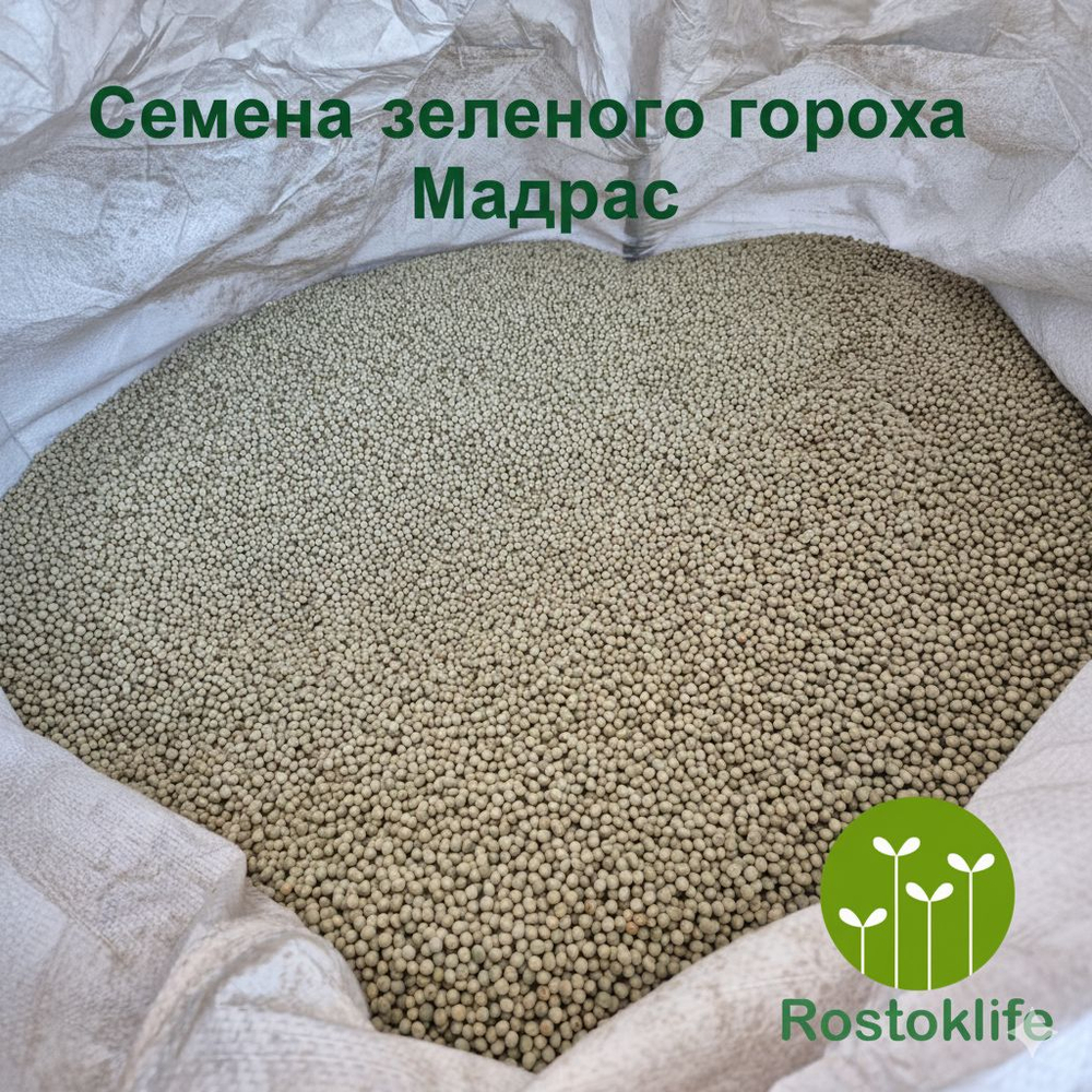 Семена горох зеленый Мадрас, микрозелень 5кг. Горох для проращивания